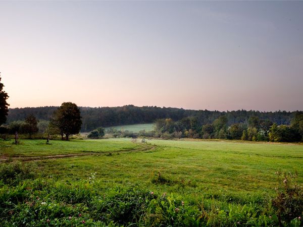 Gallery image for Blue Hill Farm