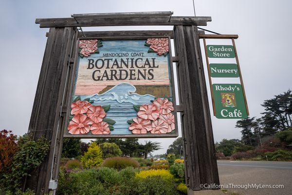 Gallery image for Mendocino Coast Botanical Gardens