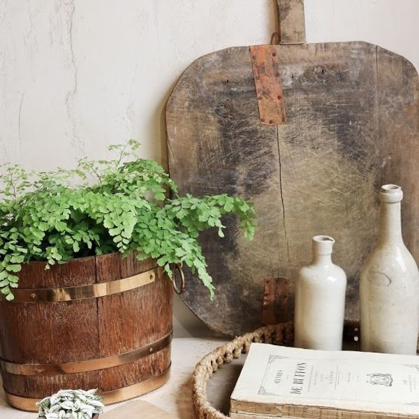 Portfolio image for Les Fleurs