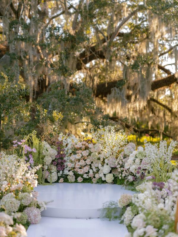 Portfolio image for Antigua Floral