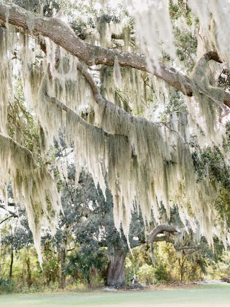 Agapae Oaks Weddings