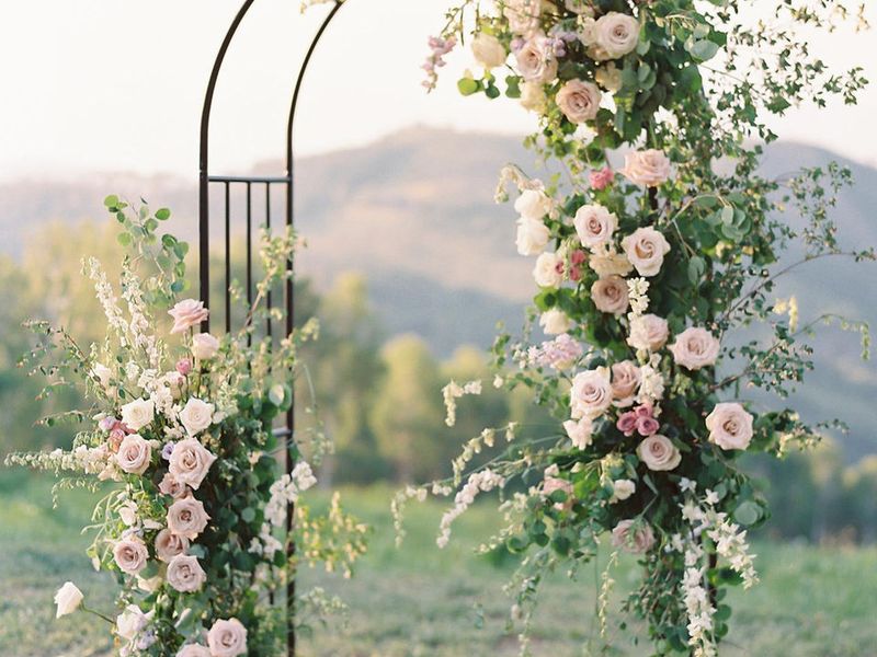 Flower + Vine