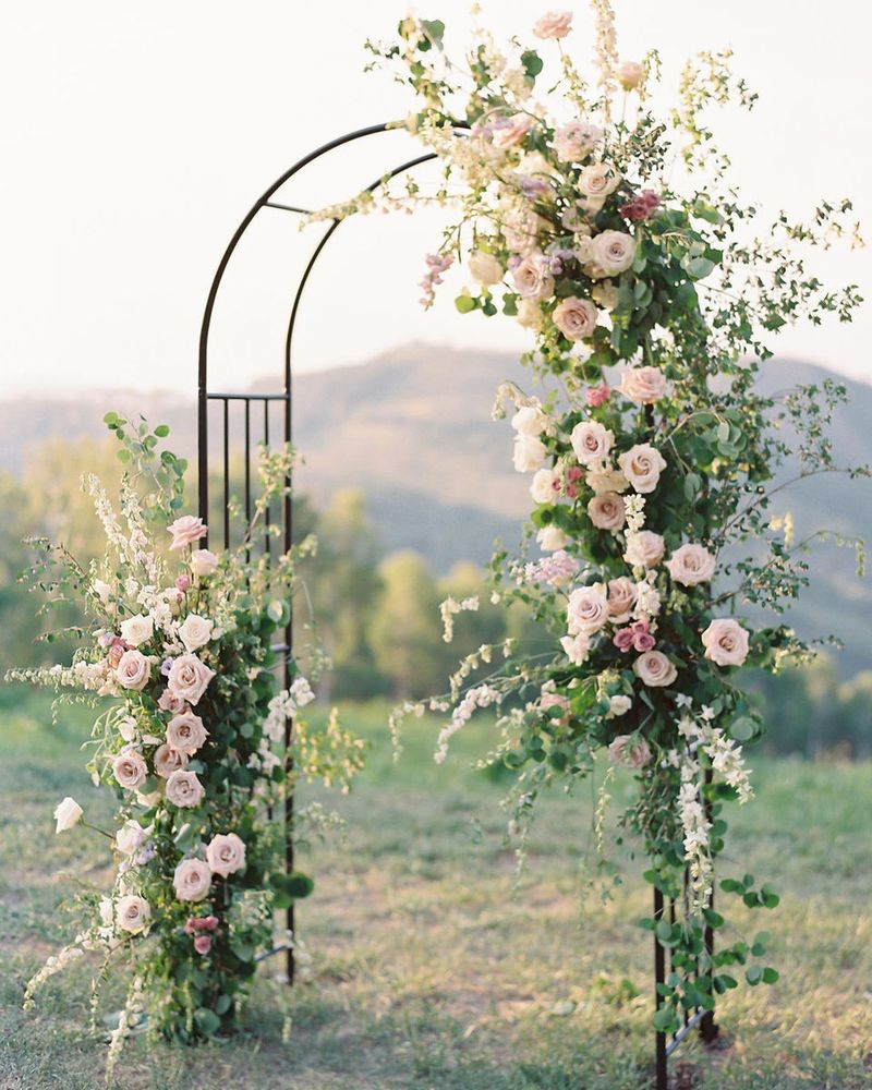 Flower + Vine