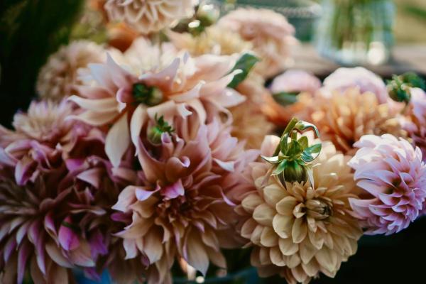 Gallery image for Magnolia Spring Farm