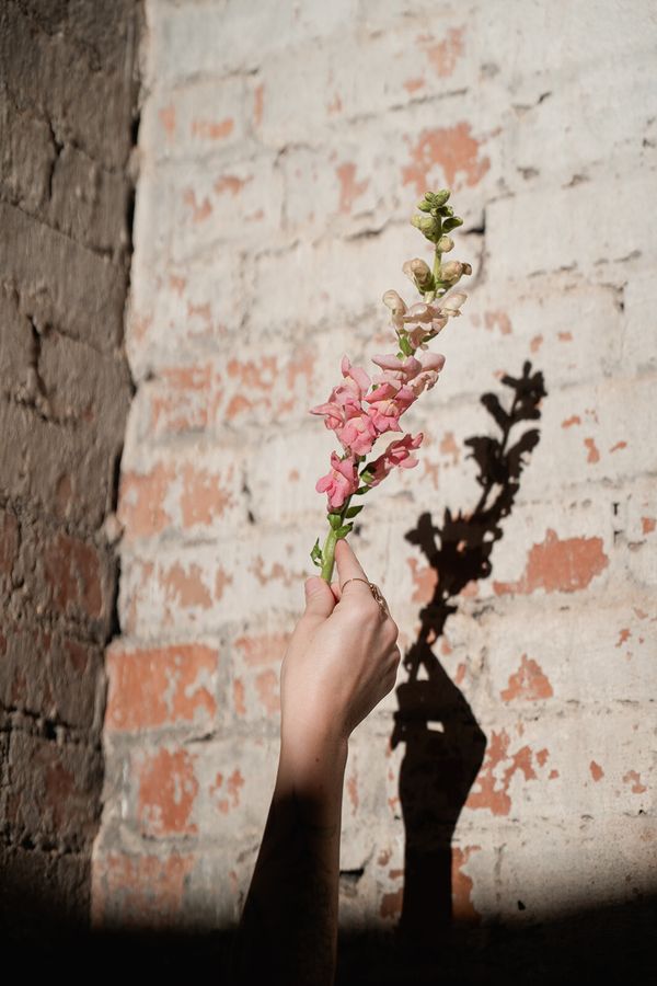 Portfolio image for Snapdragon Bloom Bar