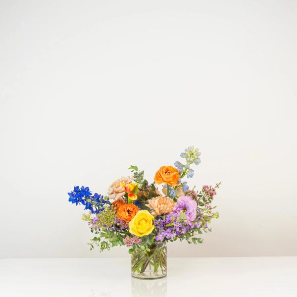 Portfolio image for The English Garden
