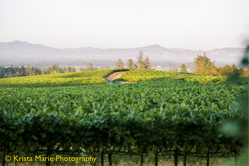 Vine Hill House at O'Connell Vineyards