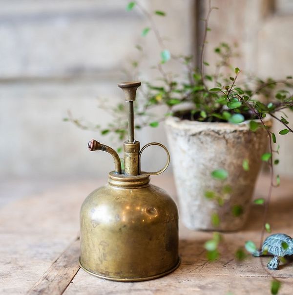 Portfolio image for Les Fleurs