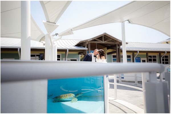 Gallery image for Loggerhead Marinelife Center