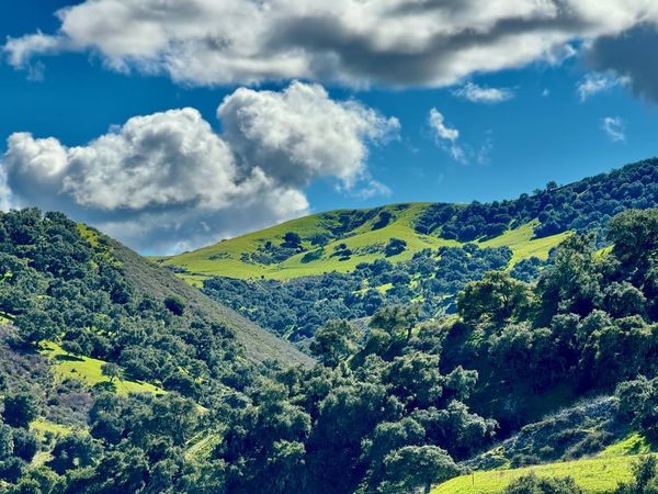 Gallery image for Las Cumbres Ranch