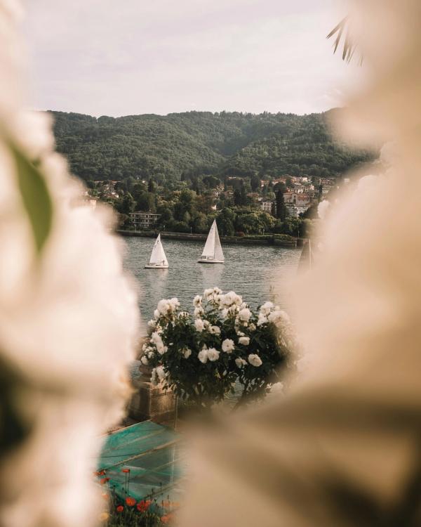 Portfolio image for Celeste Wedding Photography