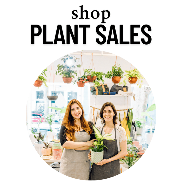 Portfolio image for Nashville Florist LLC