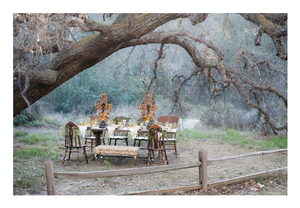 Portfolio image for Mark Martinez Photography
