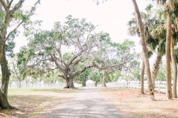Portfolio image for Agapae Oaks Weddings