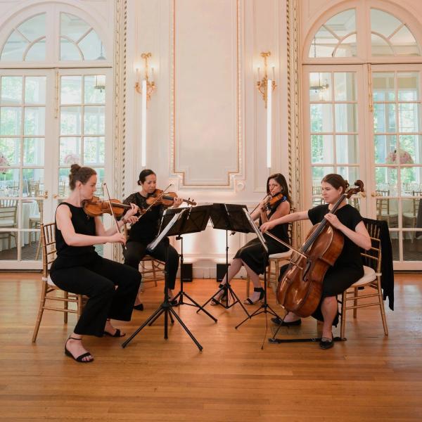 Portfolio image for Atlantic Strings Music