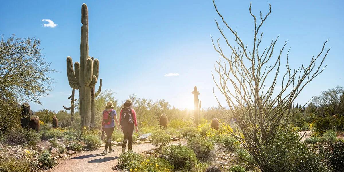 WestWorld of Scottsdale