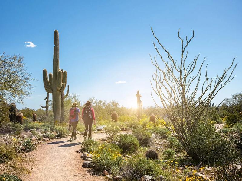 WestWorld of Scottsdale