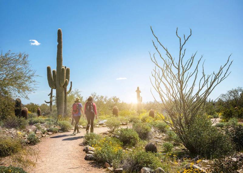WestWorld of Scottsdale