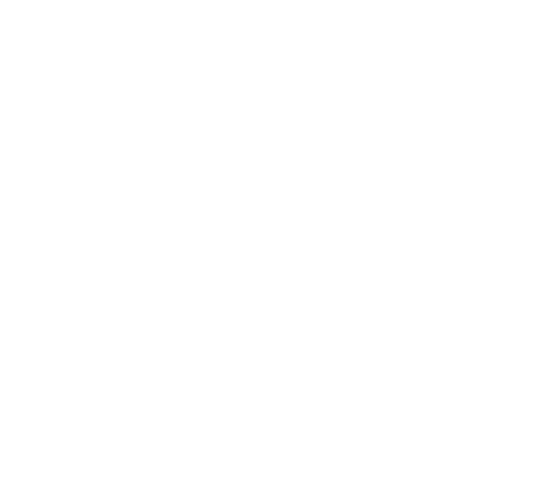 Portfolio image for The Ugly Onion