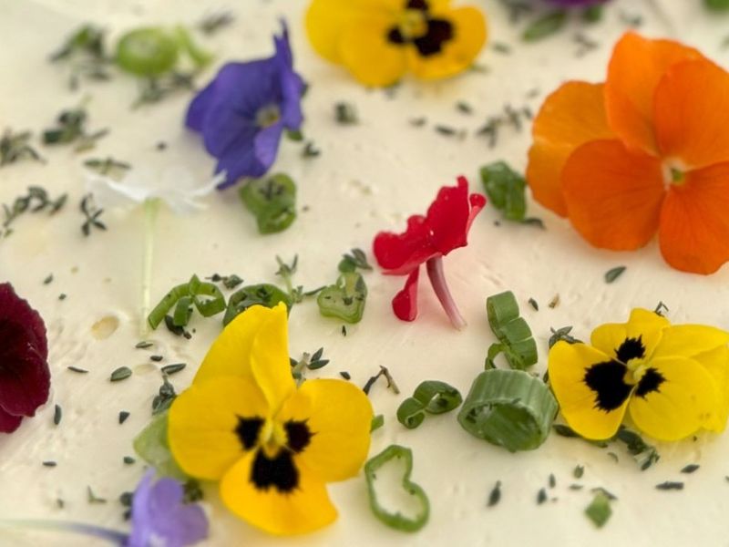 Above and Beyond Catering