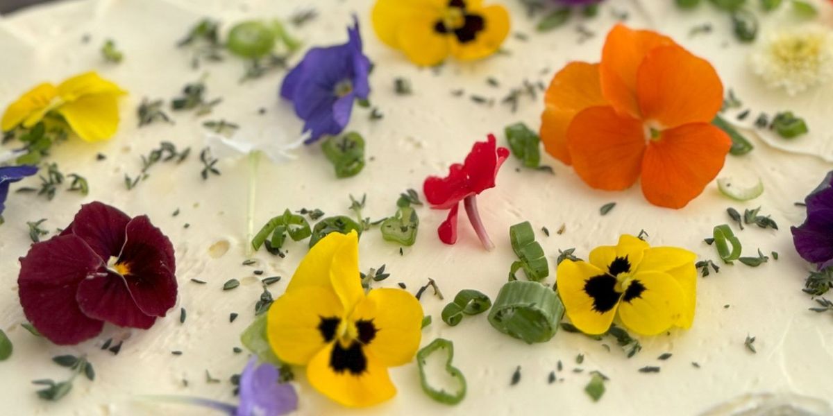 Above and Beyond Catering