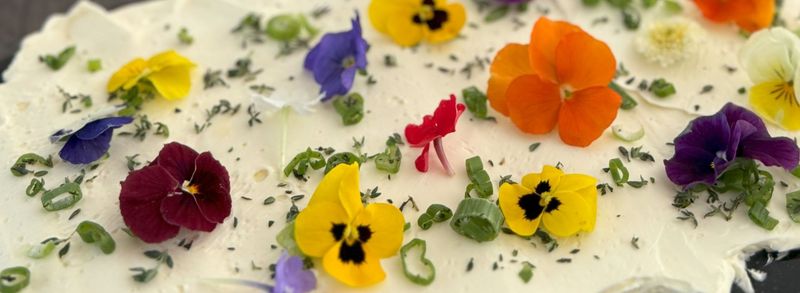 Above and Beyond Catering