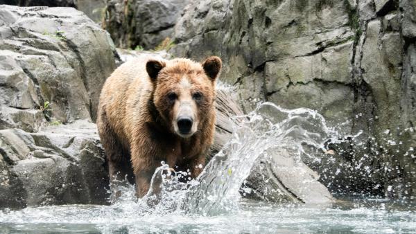 Gallery image for Central Park Zoo