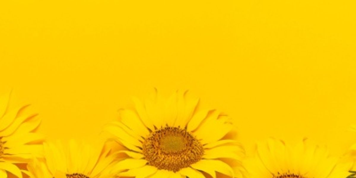 Avas Flowers