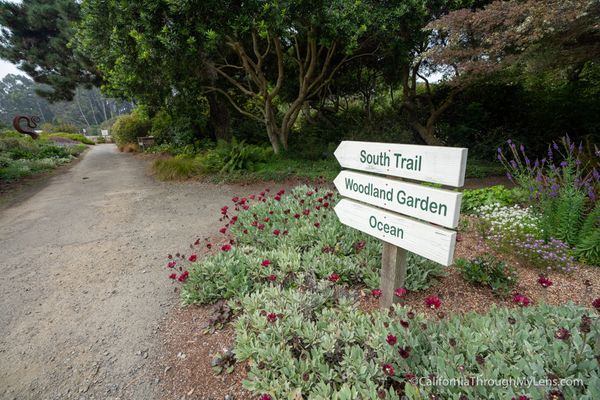 Gallery image for Mendocino Coast Botanical Gardens