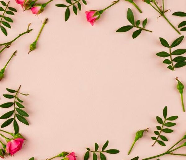 Portfolio image for Terry's Florist