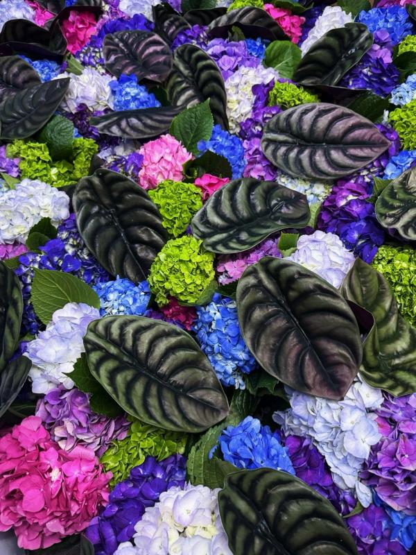 Portfolio image for Mo+Co. Floral