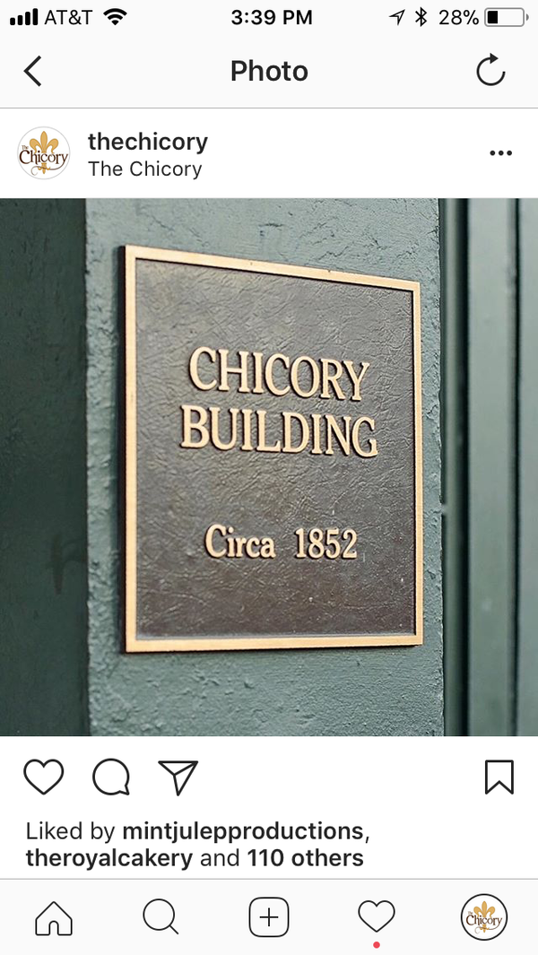 Portfolio image for The Chicory