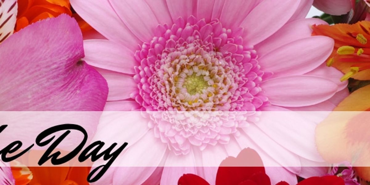 Anderson Florist