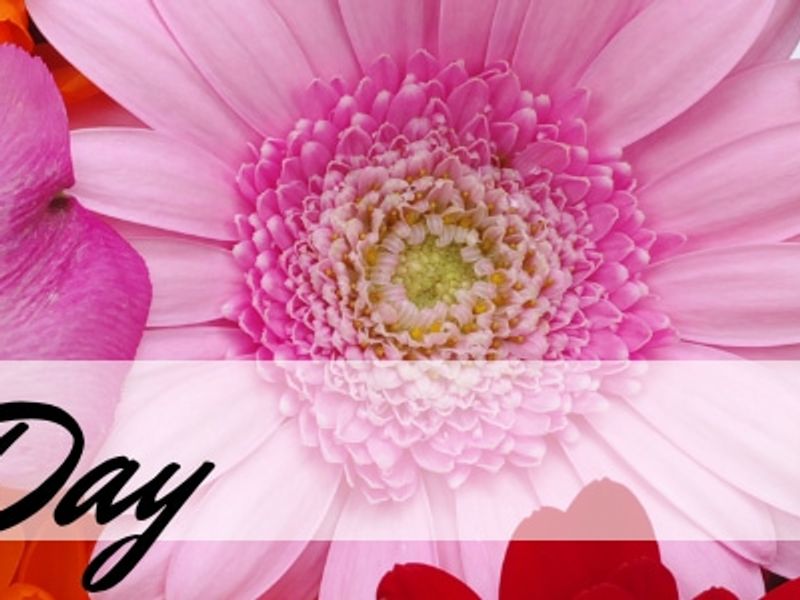 Anderson Florist