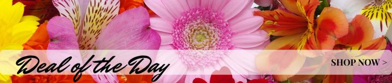 Anderson Florist