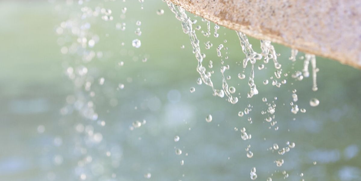 Melanie Dunn Photography