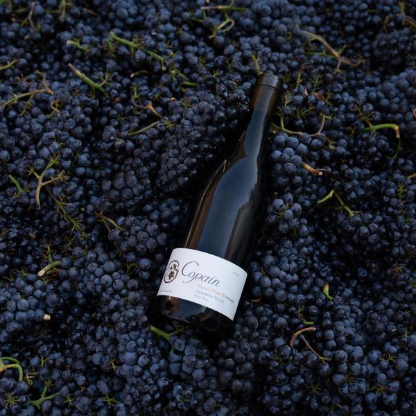 Gallery image for Copain Wines