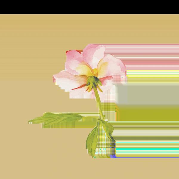 Gallery image for The Wildflower 301