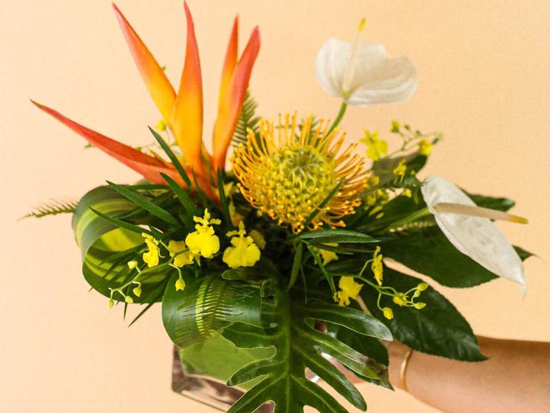 Bella Bloom Maui