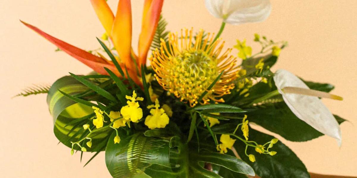 Bella Bloom Maui