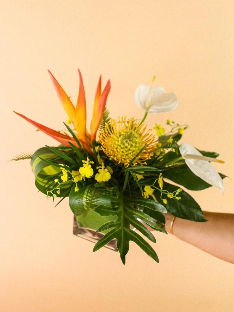 Bella Bloom Maui