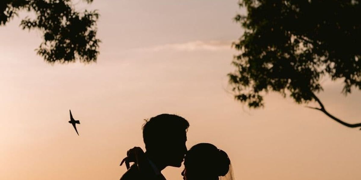 Venema Pictures