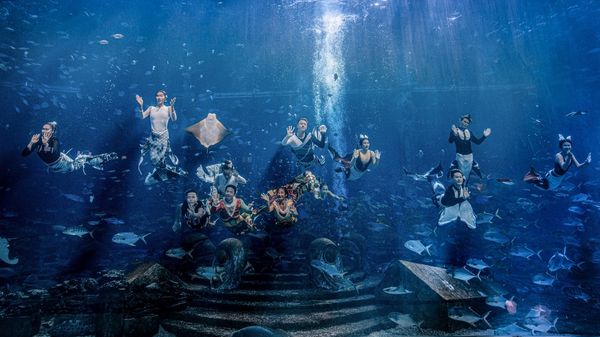 Gallery image for Atlantis Sanya