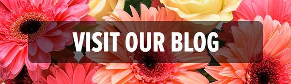 Portfolio image for Bagoy's Florist & Home