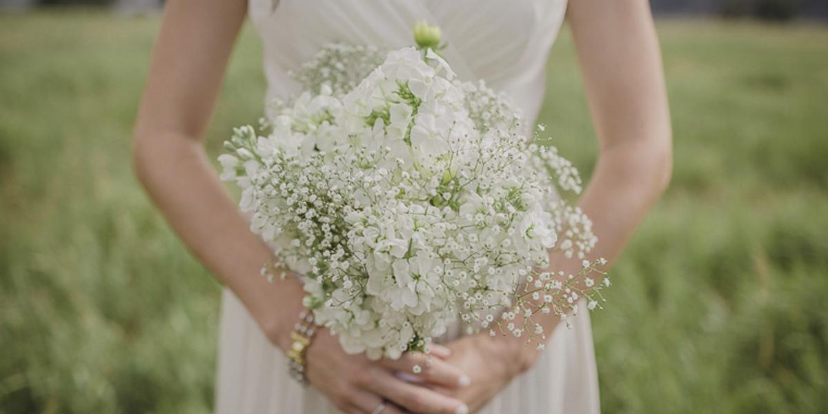 Briar Rose Flowers