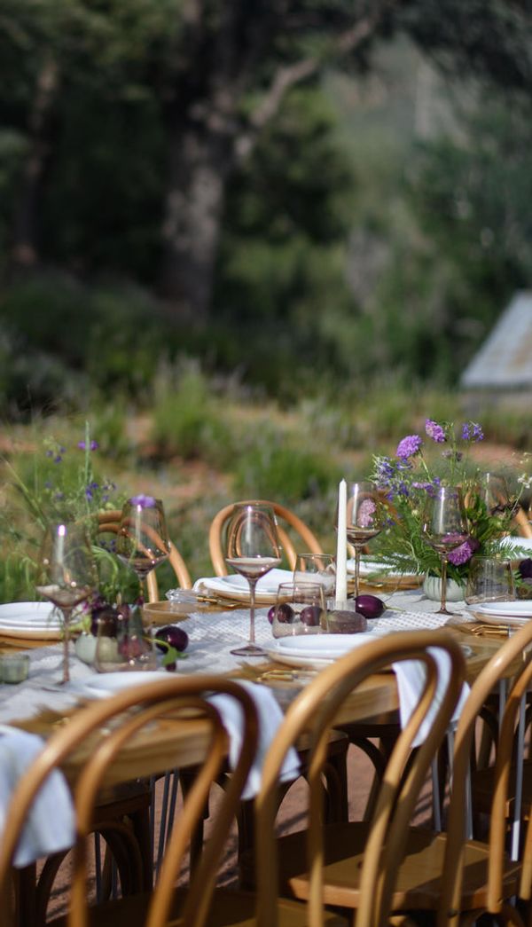 Gallery image for Pine Creek Canyon Lavender Farm