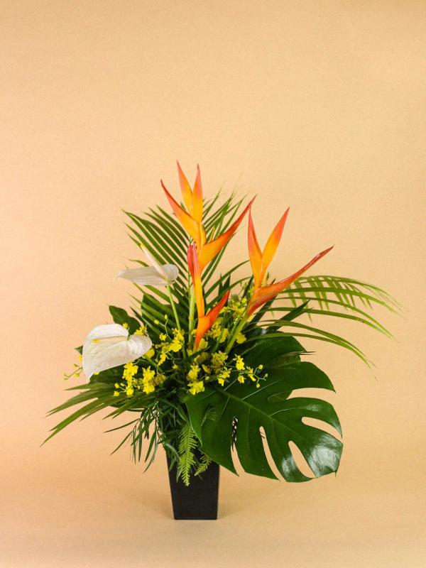 Portfolio image for Bella Bloom Maui
