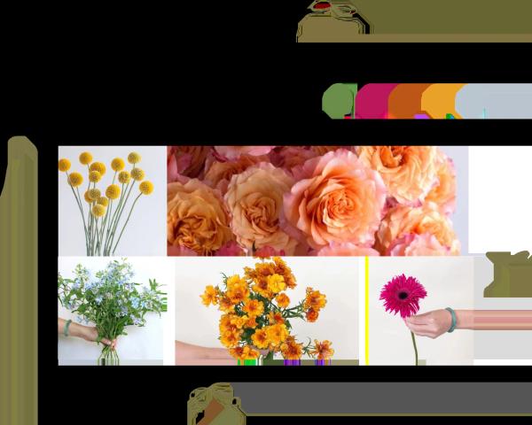 Portfolio image for The Bloom Lab