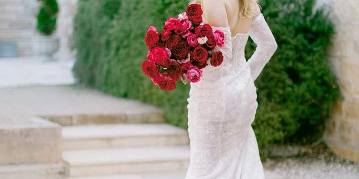 David Austin Roses