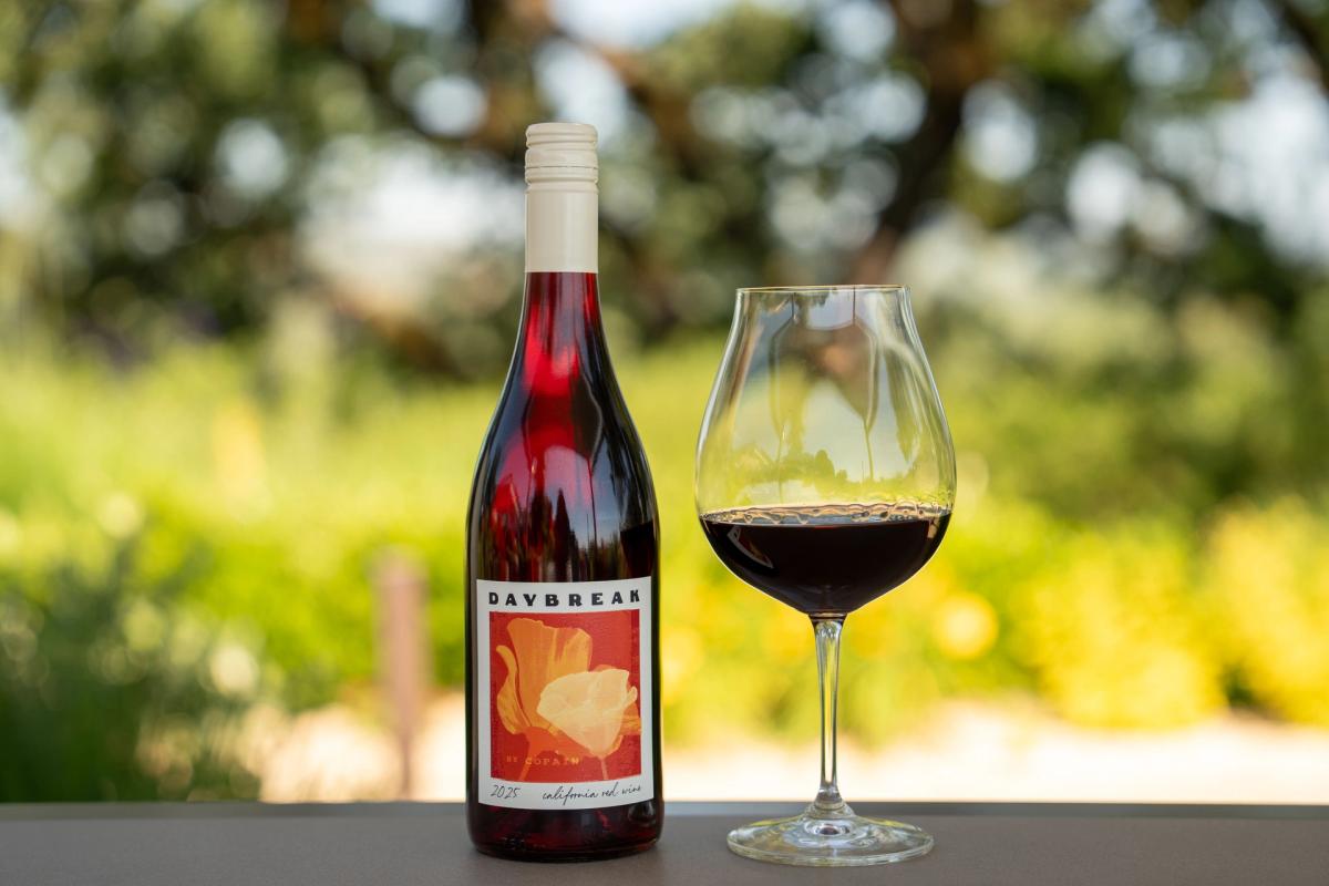 Copain Wines